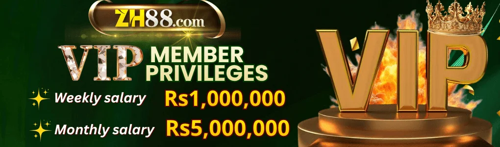 zh88 banner 1